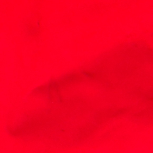 BCBG Bag - Picture 5 of 7